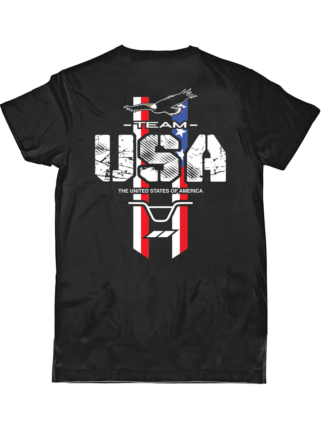 Team USA Tee 2026
